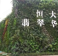 西安植物墙 立体绿化 垂直绿化 优质仿真绿植墙植物种类丰富