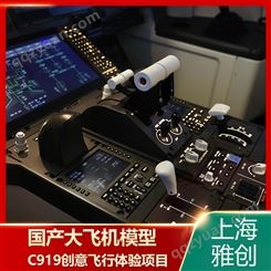仿真航空模型 国产C919大飞机定制 支持自定义 多年行业经验 雅创