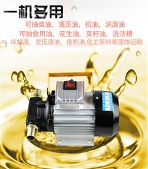 自吸齿轮机油泵电动手提大功率220v柴油液压油高粘度抽油吸加油机