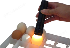 超高亮度无线照蛋器 高效率 持久耐用 省电省心 照蛋选蛋器