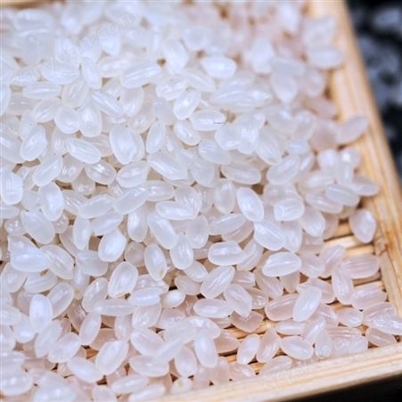 食堂大米 大学餐厅用米 新米上市东北大米圆粒米珍珠米寿司米2.5kg厂家批发员工福利