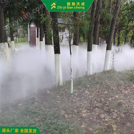 焦作景观雾森喷雾系统设备 高压雾化降温系统 智易天成