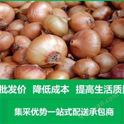 惠阳蔬菜配送 自有基地 食材新鲜农产品配送每天提供检测报告