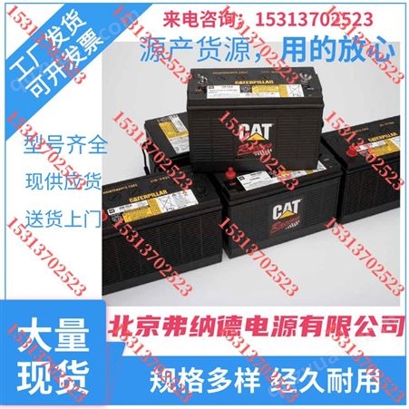 美国CAT彼勒蓄电池115-2421/12V90AH冷启动值950A启动电池