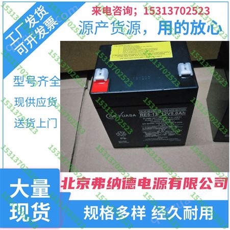 EB100GS YUASA蓄电池NP10-6 6V10AH 电梯精密仪器备用代理商