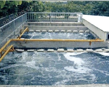 屠宰厂养猪场废水处理定制 水处理厂定制设备 自动化控制 50T