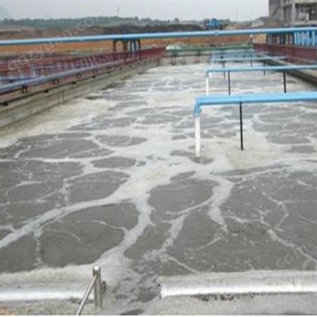 污水处理成套设备 生活废水处理 Q235材质 100吨处理量