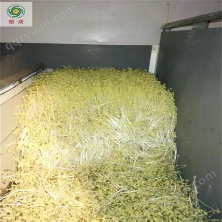全自动豆芽机宏诚芽苗菜种植500斤