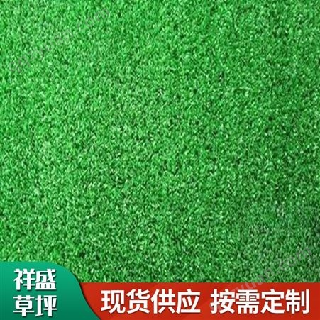 幼儿园足球场人工假草皮 室外门球场人造草坪可按规格定制 免冲砂