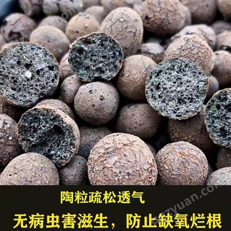 于泰矿产供应轻质陶粒 回填卫生间 绿化铺面垫底栽培用