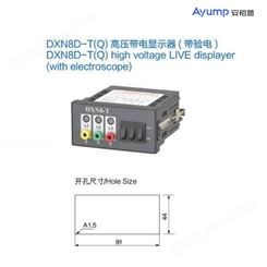 DXN8D-T(Q)高压带电显示器(带验电)