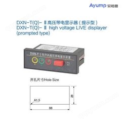 DXN-T(Q)- II 高压带电显示器(提示型)