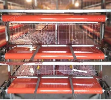 厂家承接定制清粪带养鸡棚pvc/pp清粪传送带 全自动清粪运输带