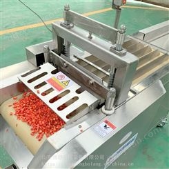 调味品加工设备 辣椒剁段机 切小椒机 切辣椒机 博朗机械