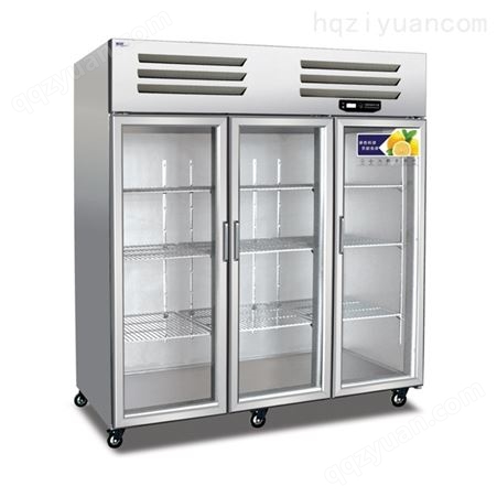 商用工程款立式保鲜陈列柜 冷藏保鲜玻璃展示柜 保鲜 专业冷冻